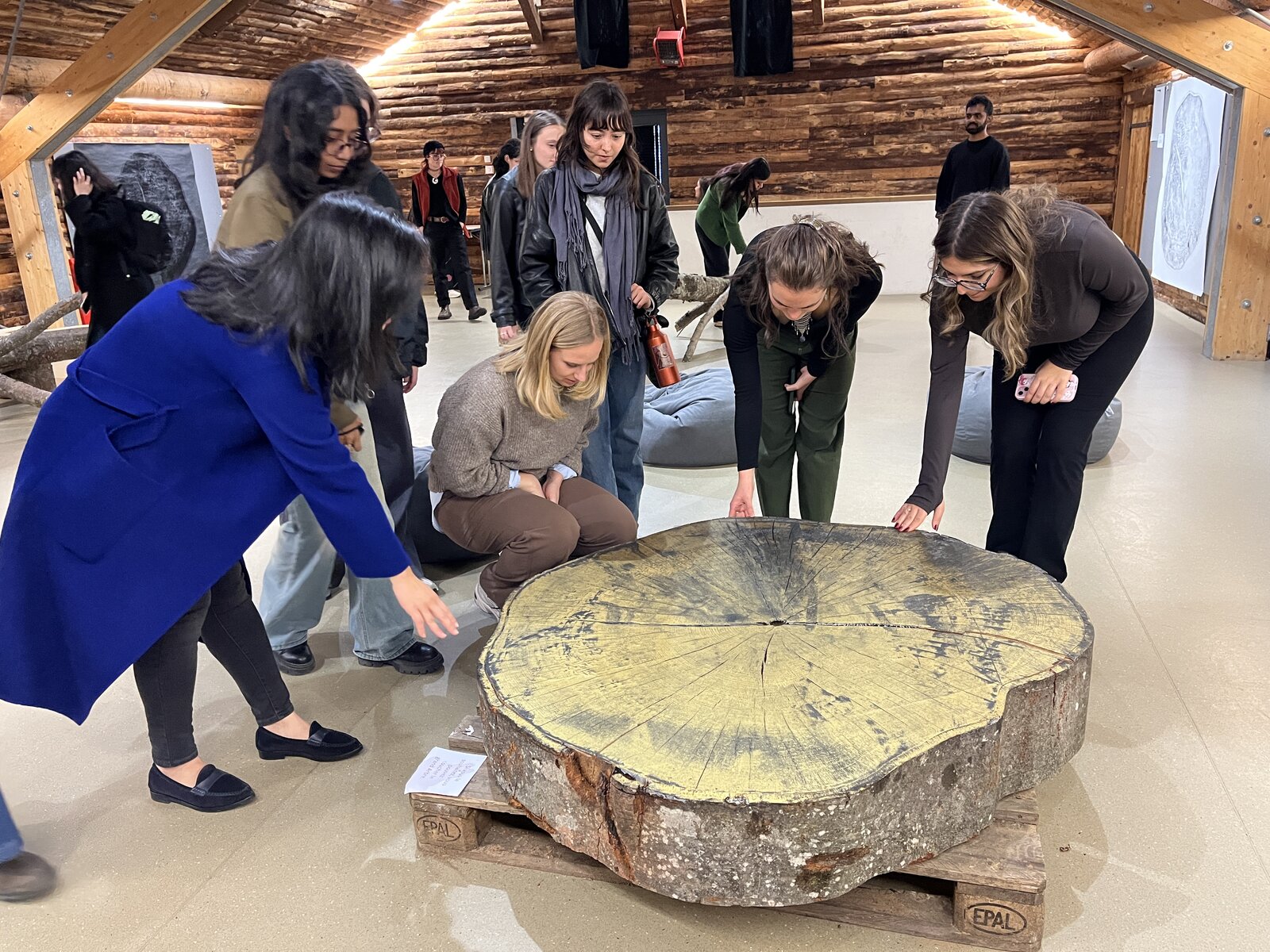 Visitors gathered around a large beech cross-section on its opening.