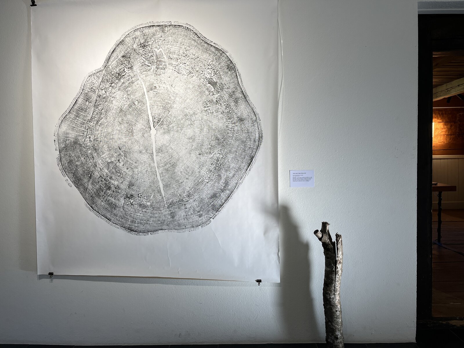 Large-scale wall print alongside a small branch fragment.