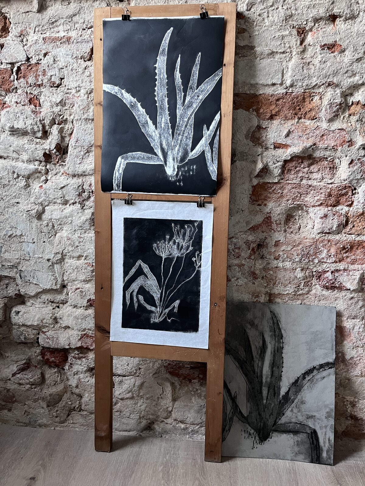 Monotype prints of agave and plant forms displayed on an easel against an exposed brick wall — precursors to Devenir humain / Becoming Human.