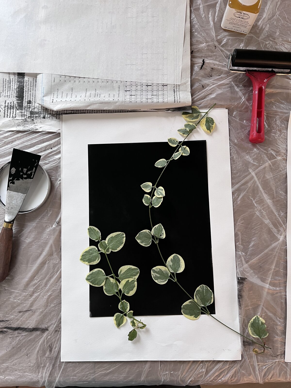 A pressed leaf laid over a black monotype print during the printmaking process, precursor to Devenir humain / Becoming Human.