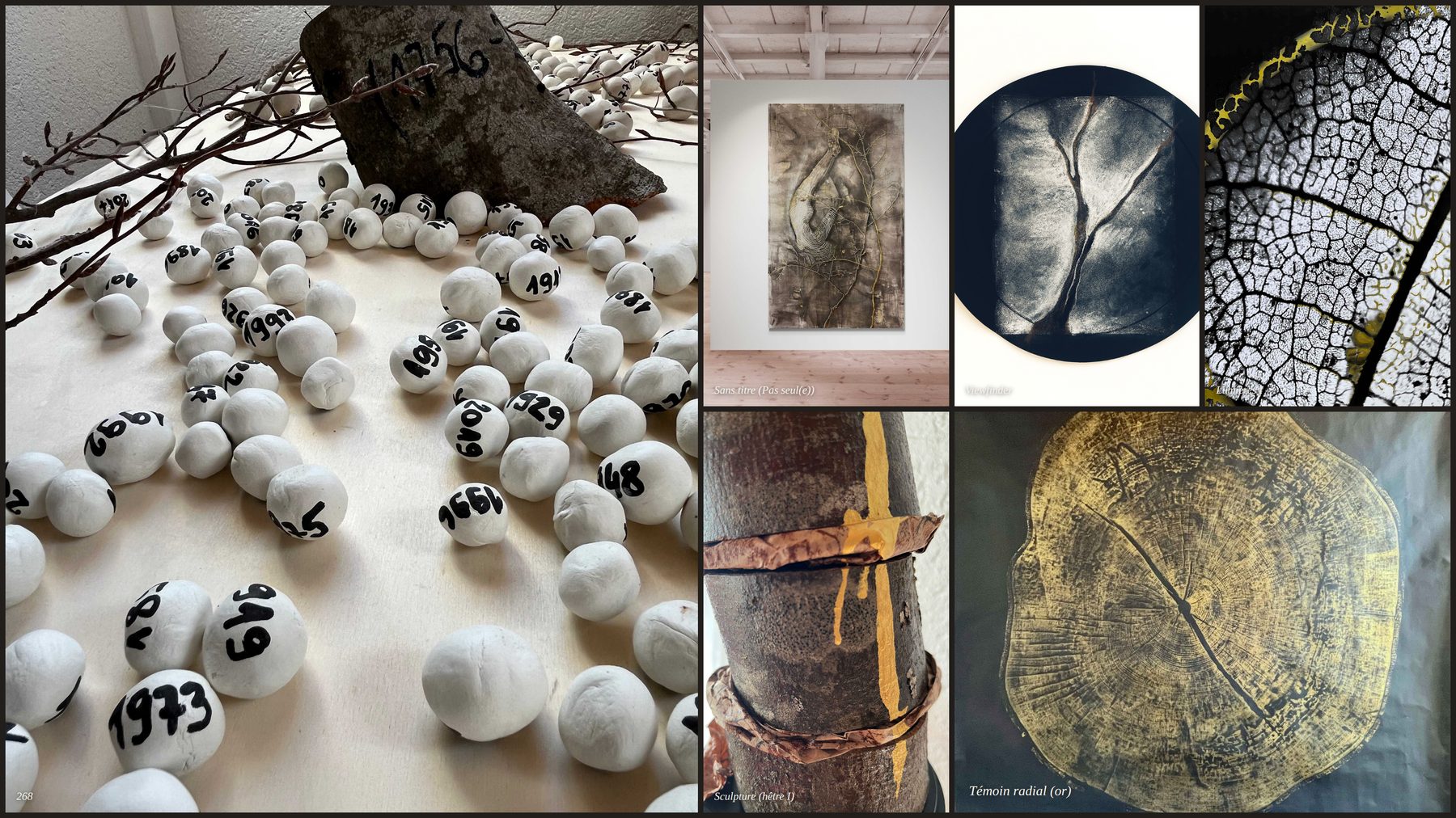 Montage of works across series: (H)Être sculpture and ceramic pieces, Sans titre (Pas seul(e)), Viewfinder, Lumières, and Témoin radial.